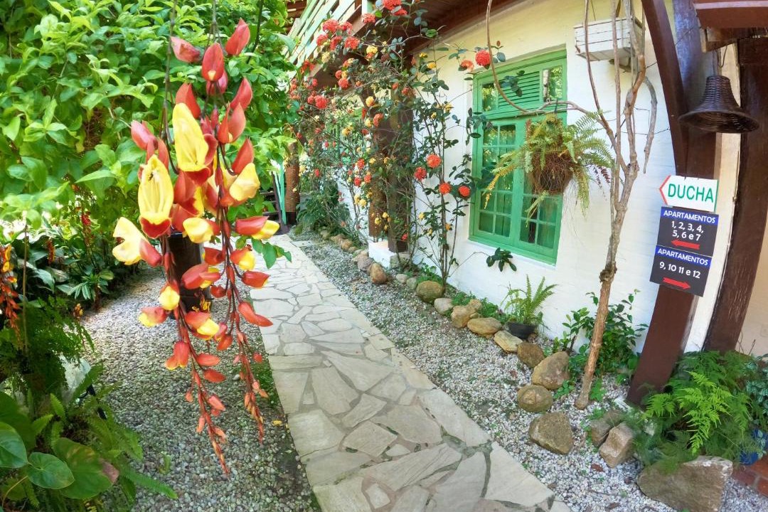 Photo of Others in Felix