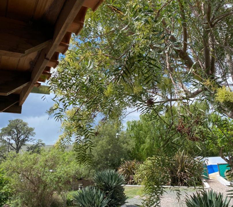 Photo of Others in Sierra de la Ventana