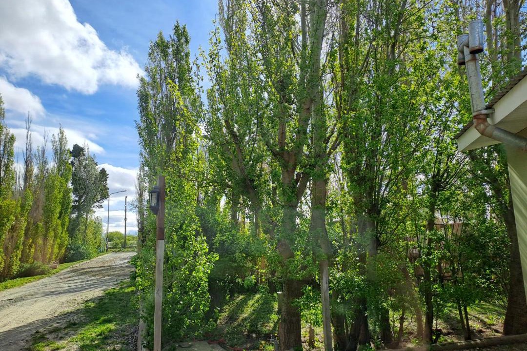 Photo of Others in Rio Gallegos