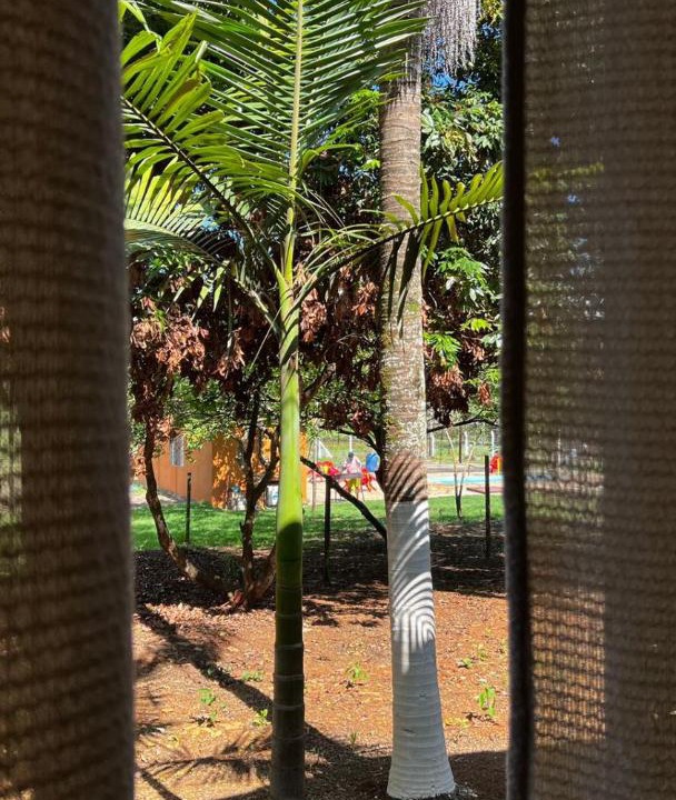 Photo of Others in Carmo do Rio Claro