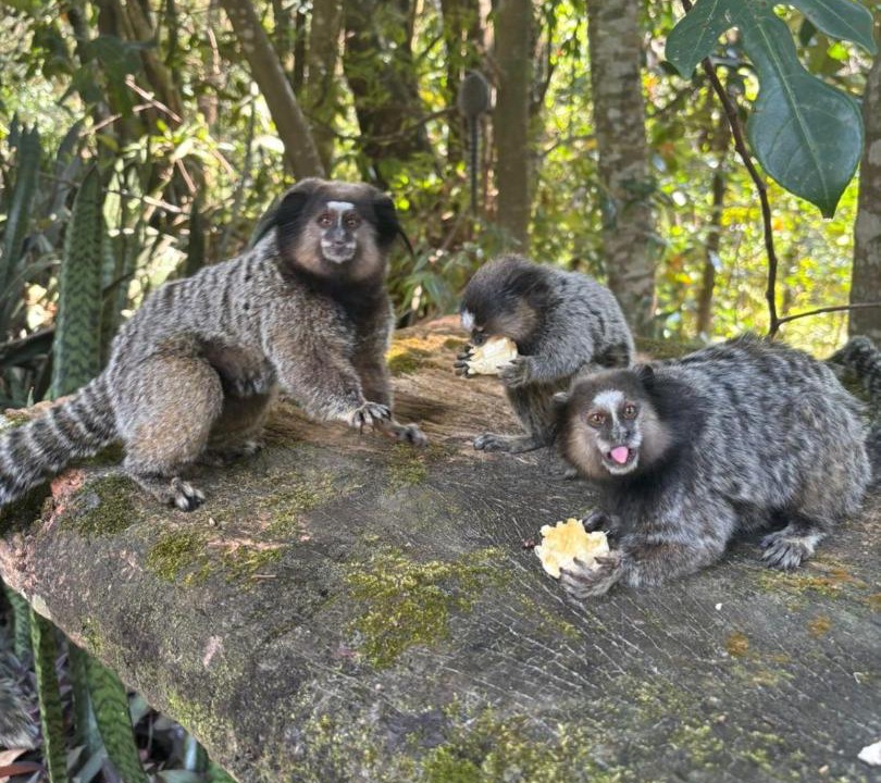 Photo of Others in Pati Valley