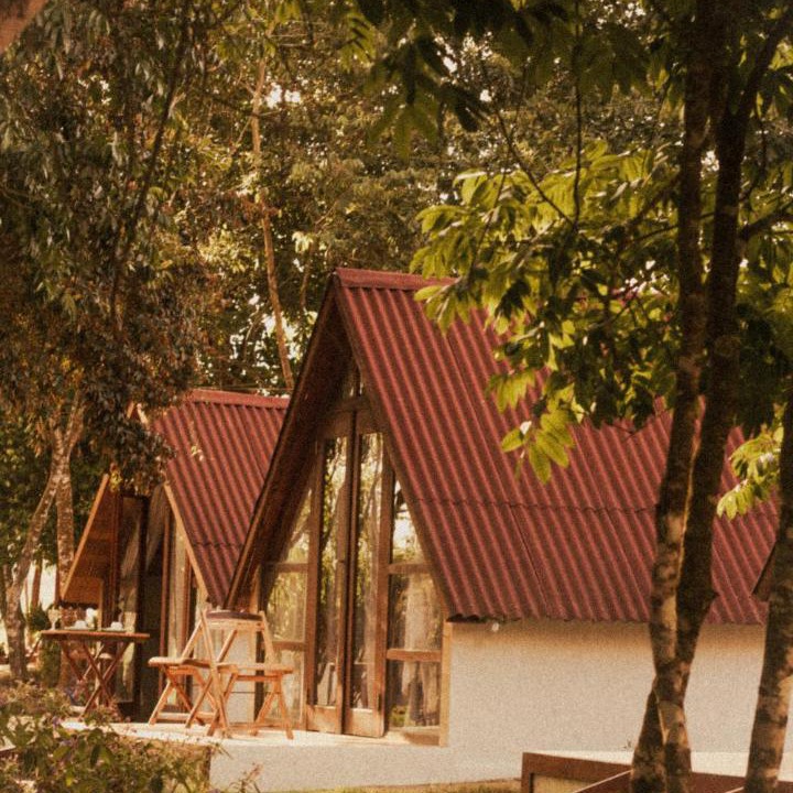 Photo of Others in Ubajara National Park