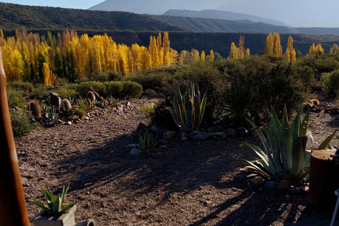 Photo of Others in Potrerillos
