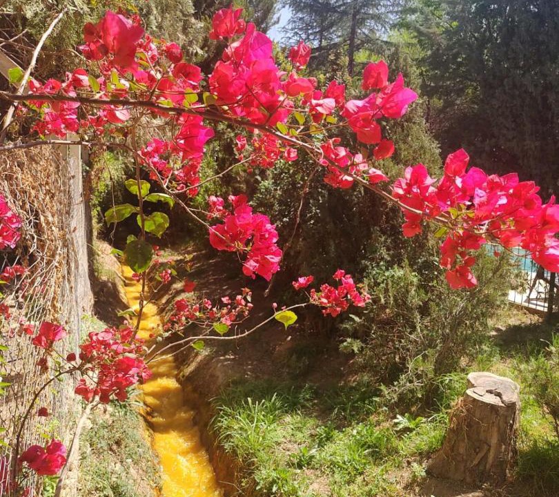 Photo of Others in Chilecito