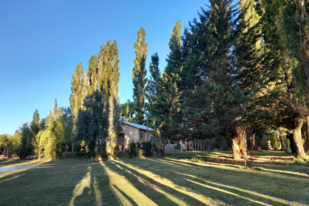 Photo of Others in Barreal