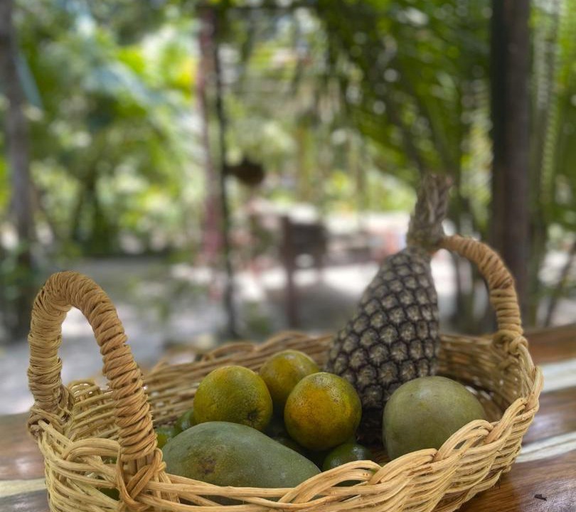 Photo of Others in Ilha de Boipeba