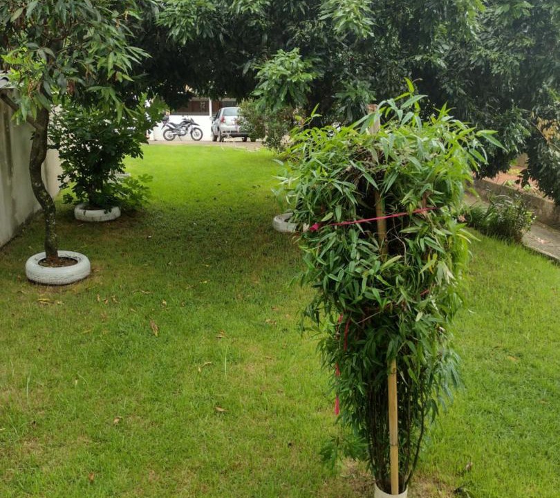 Photo of Others in Sao Goncalo do Para