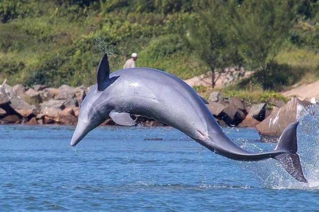 Photo of Others in Laguna