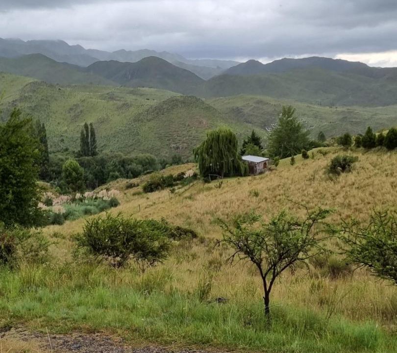 Photo of Others in Trapiche