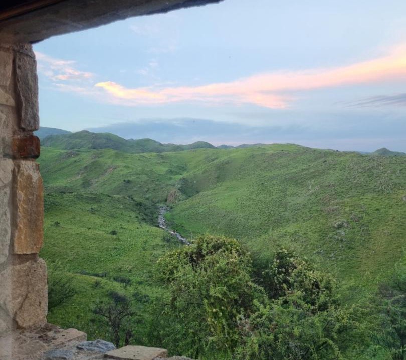 Photo of Others in Trapiche