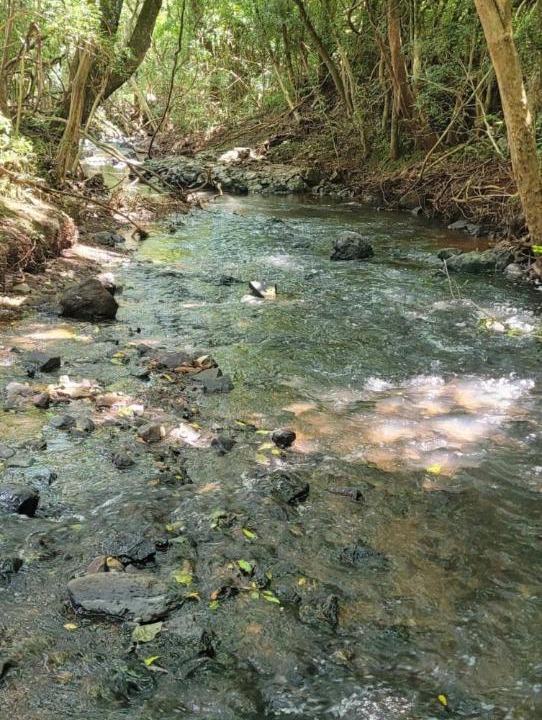 Photo of Others in Marau
