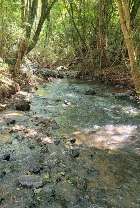 Photo of Others in Marau