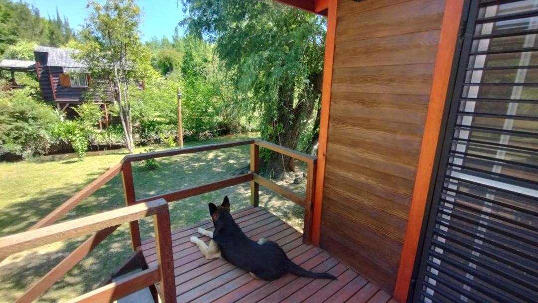 Photo of Patio Balcony in Partido de Tigre