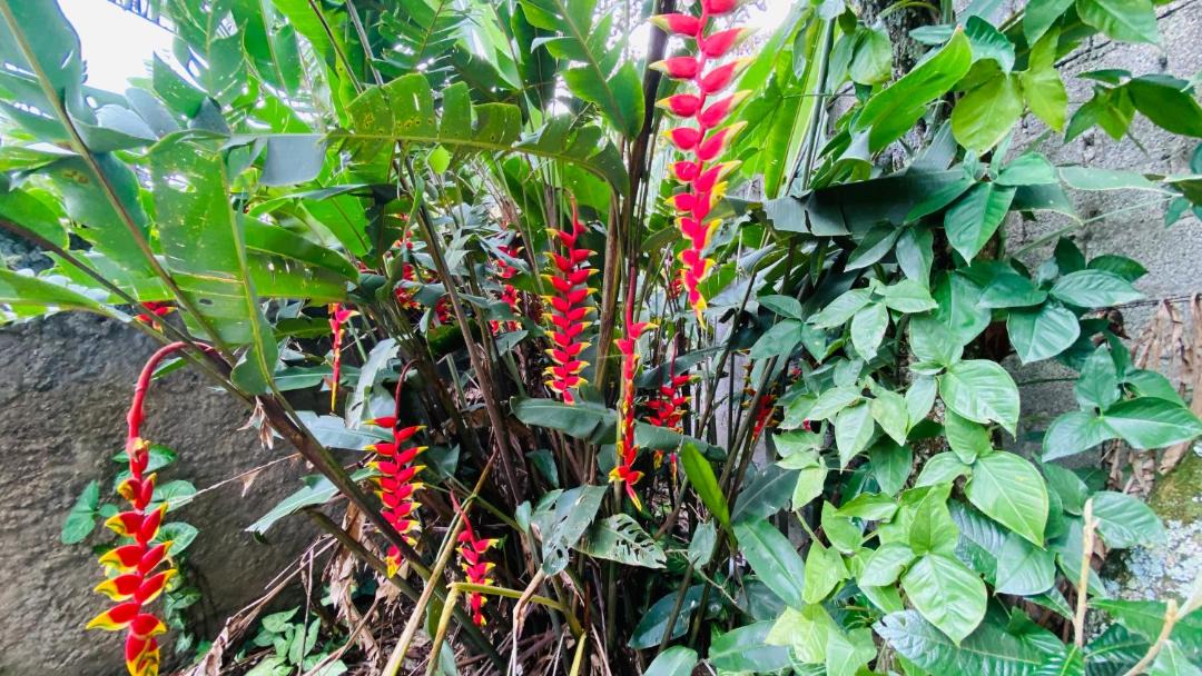 Photo of Others in Jardim Flamboyant