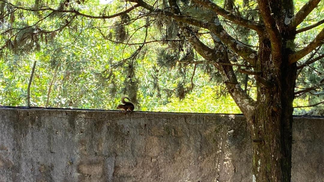 Photo of Others in Jardim Flamboyant