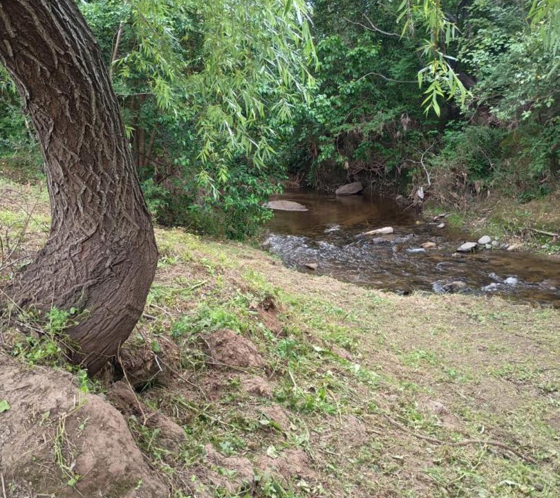 Photo of Others in Calamuchita Valley