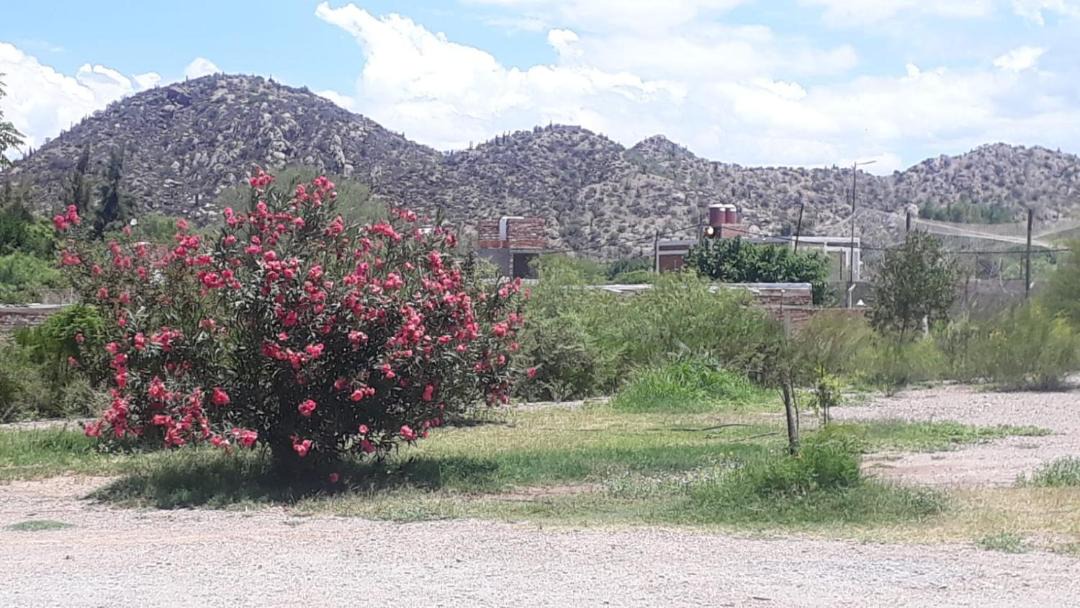 Photo of Others in Chilecito