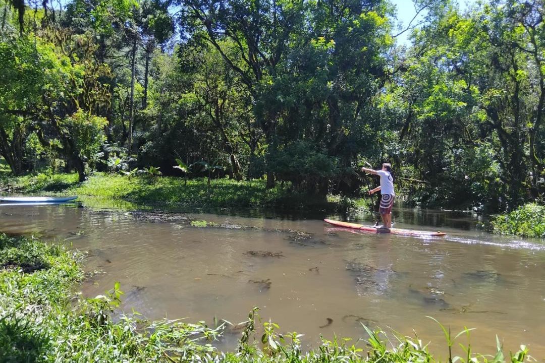Photo of Others in Campo Largo