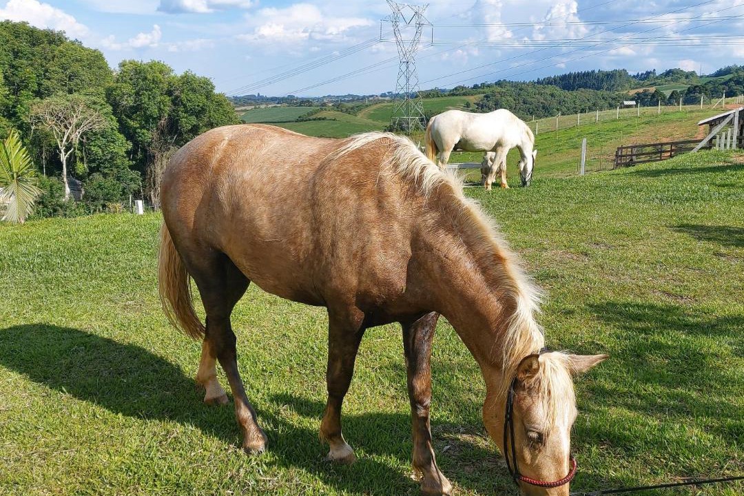 Photo of Others in Contenda