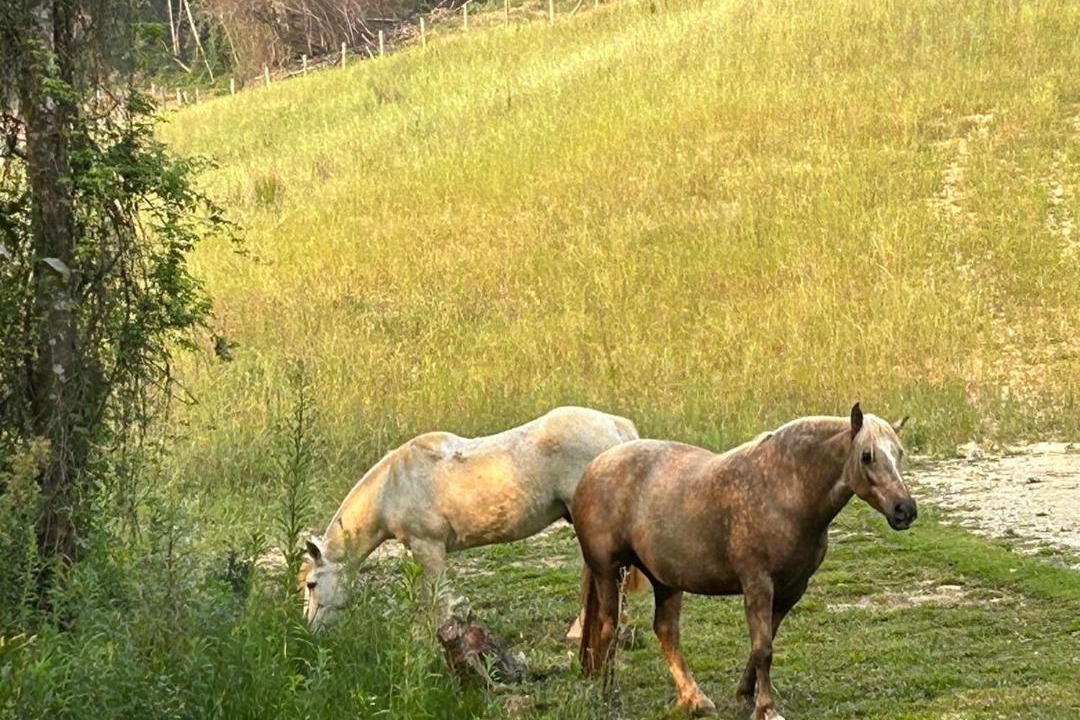 Photo of Others in Contenda