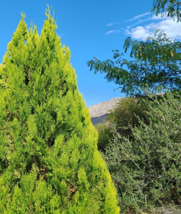 Photo of Outdoor in Villa Basilio Nievas