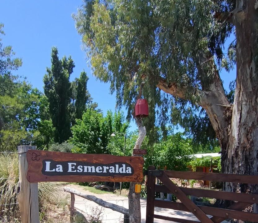 Photo of Others in Cuadro Nacional