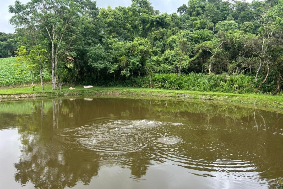 Photo of Others in Contenda