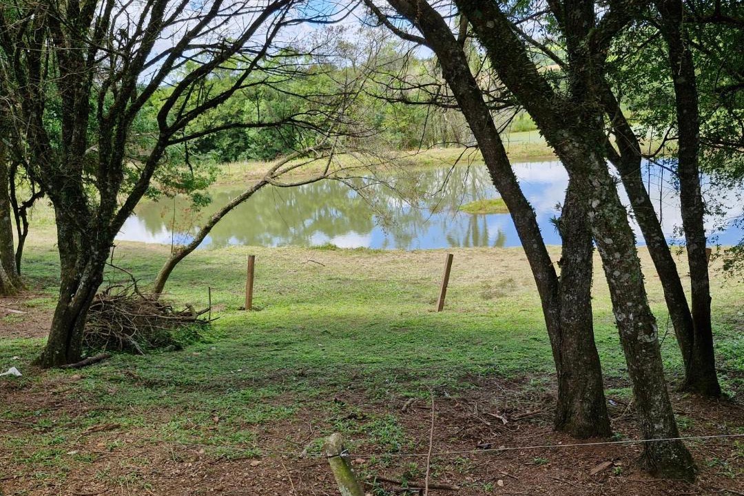 Photo of Others in Sao Lourenco do Sul