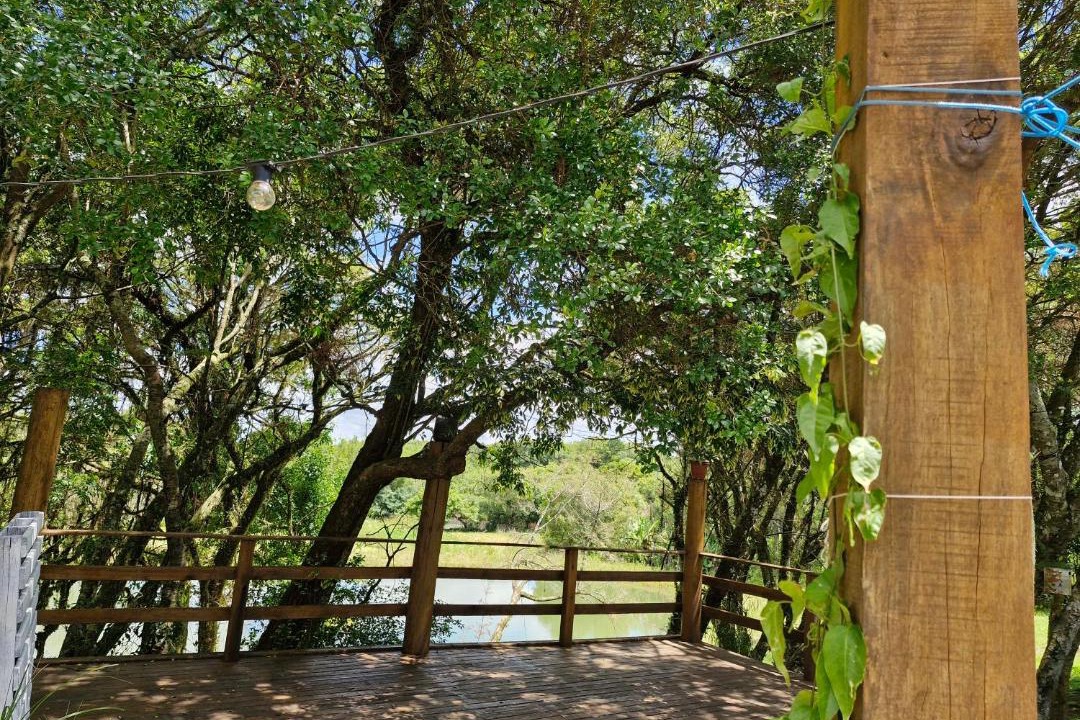 Photo of Others in Sao Lourenco do Sul