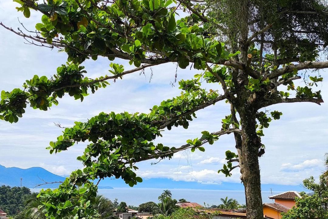Photo of Others in Tesouro da Colina