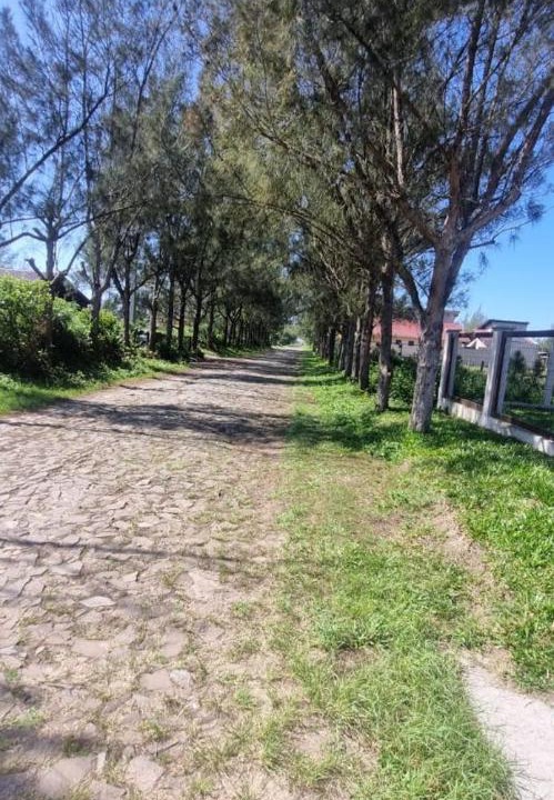 Photo of Outdoor in Balneario Gaivota