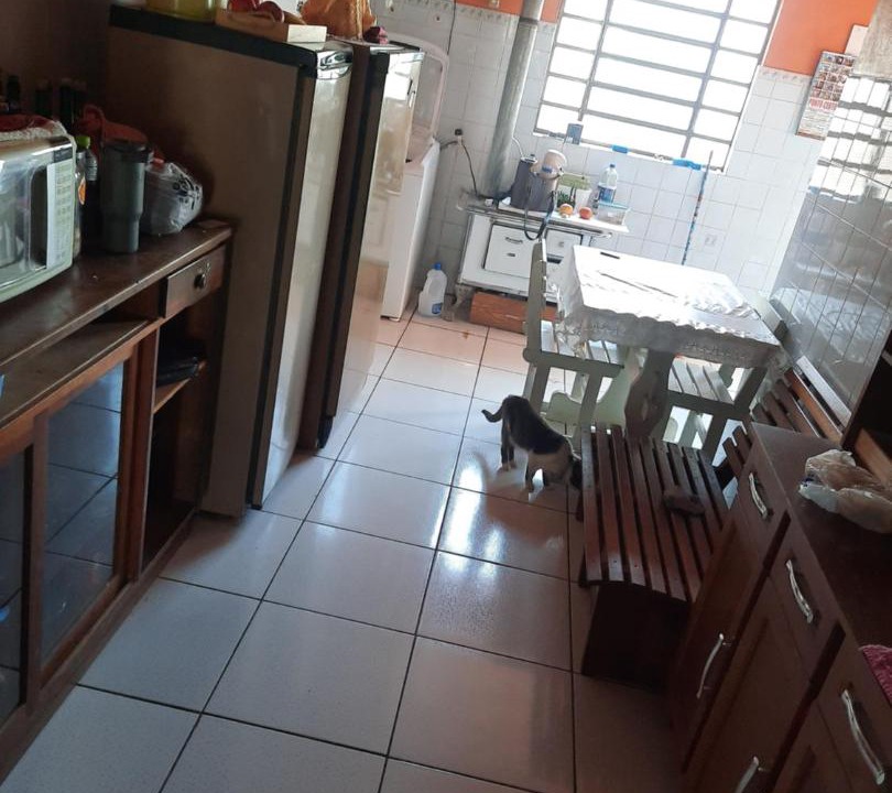 Photo of Kitchen in Rosario do Sul