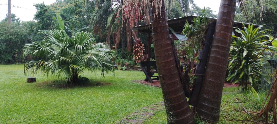 Photo of Others in Zona Granja