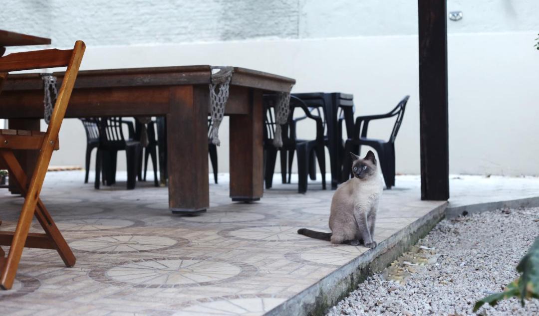 Photo of Others in Campeche