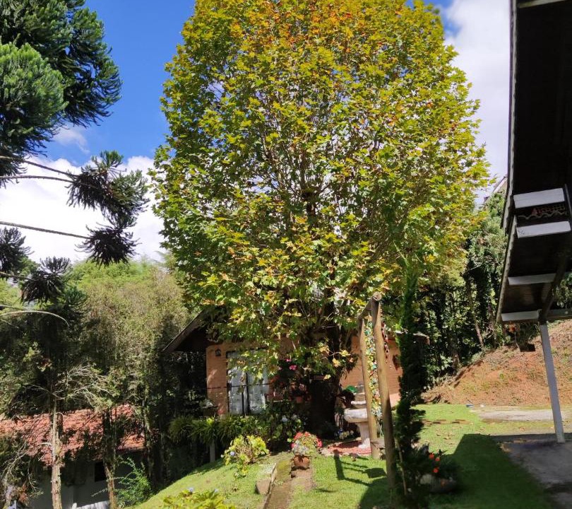 Photo of Others in Recanto Araucaria