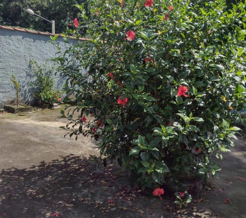 Photo of Others in Guapimirim