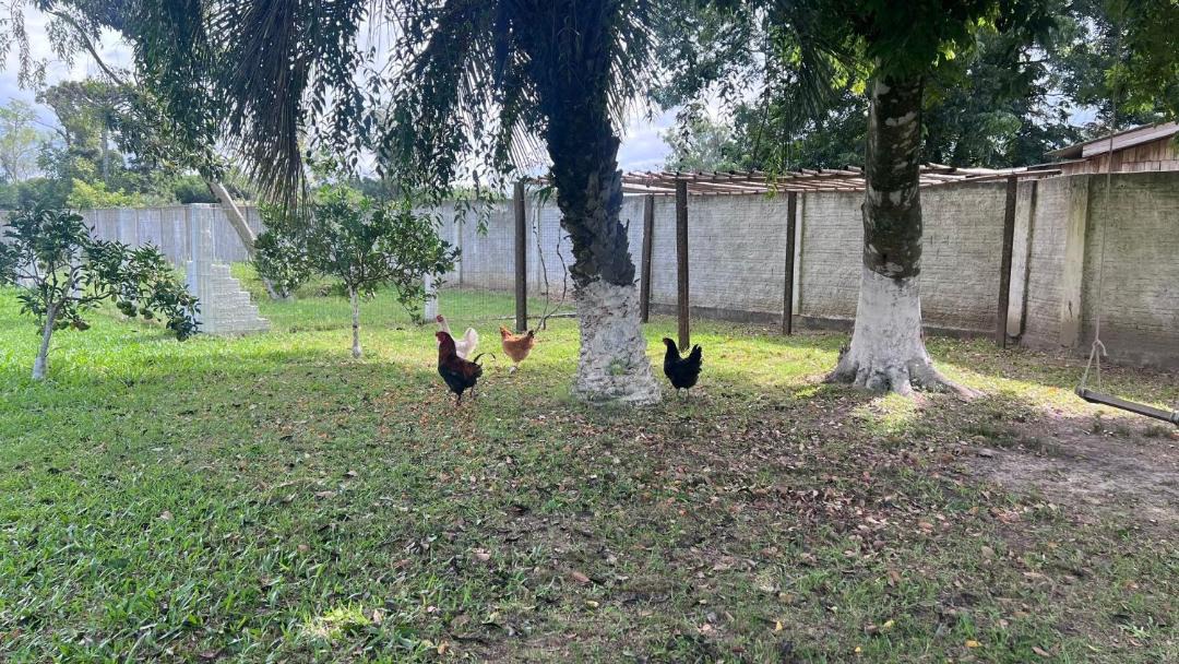 Photo of Others in Capao do Leao