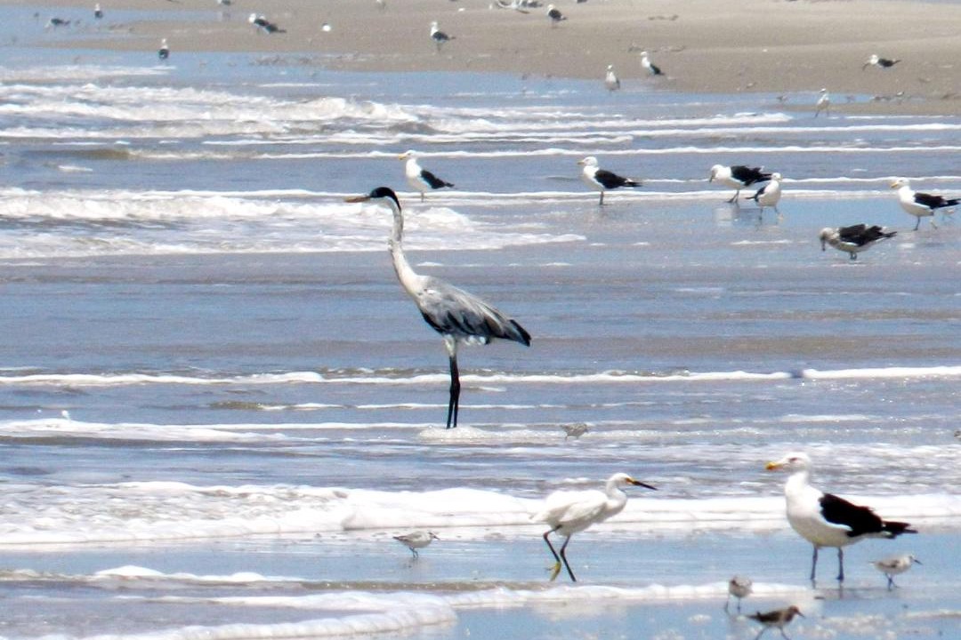 Photo of Others in Tavares