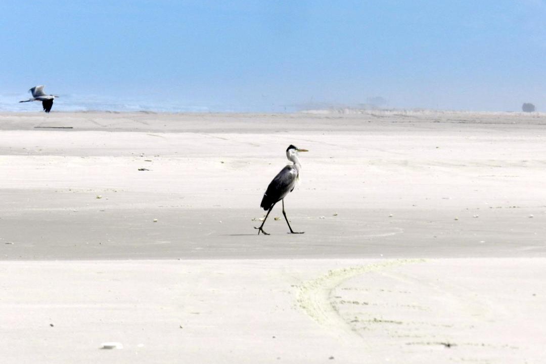 Photo of Others in Tavares