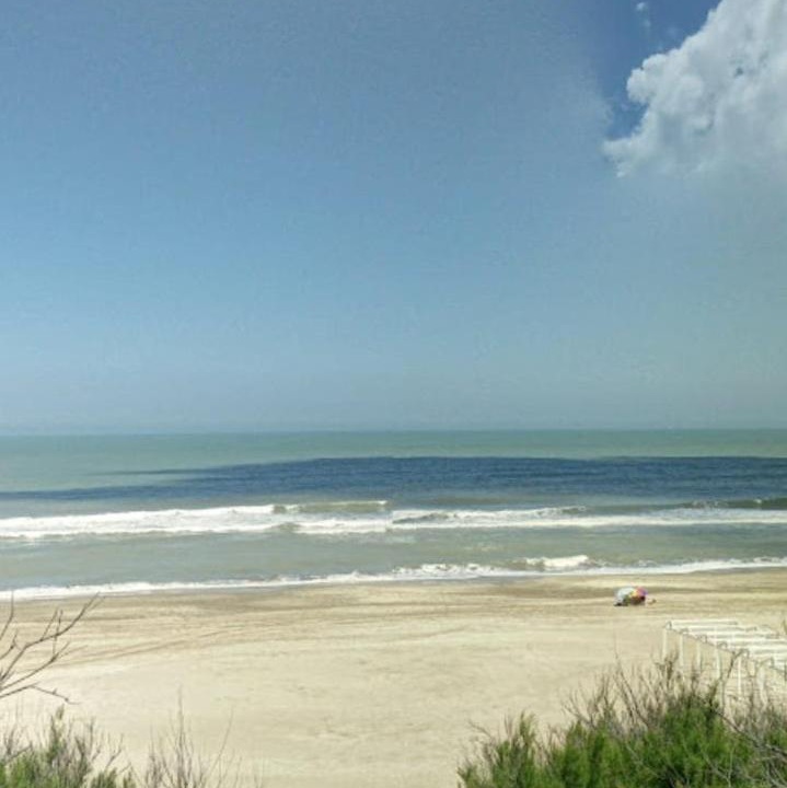 Photo of Others in Valeria del Mar