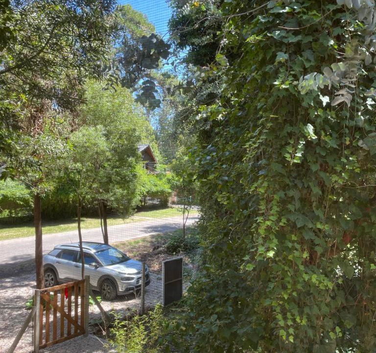 Photo of Others in Bosque Peralta Ramos