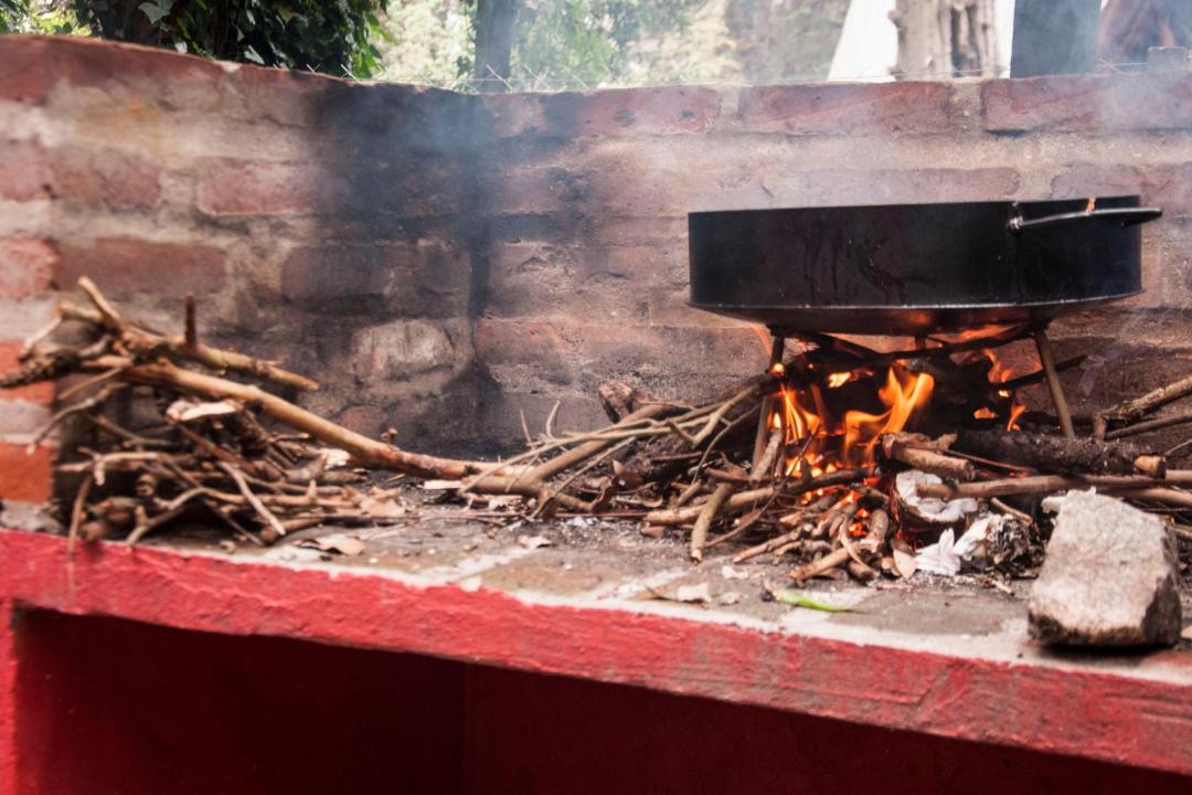 Photo of Others in Bosque Peralta Ramos
