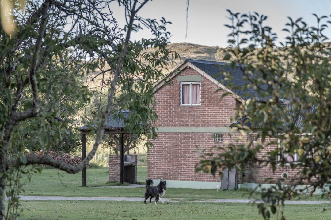 Photo of Others in Tandil