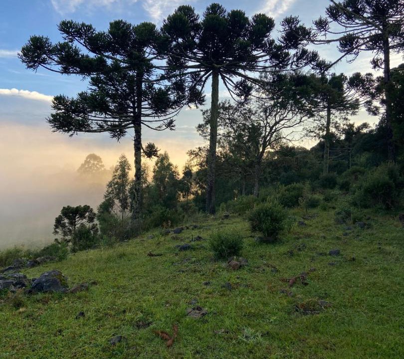 Photo of Others in Bom Jardim da Serra