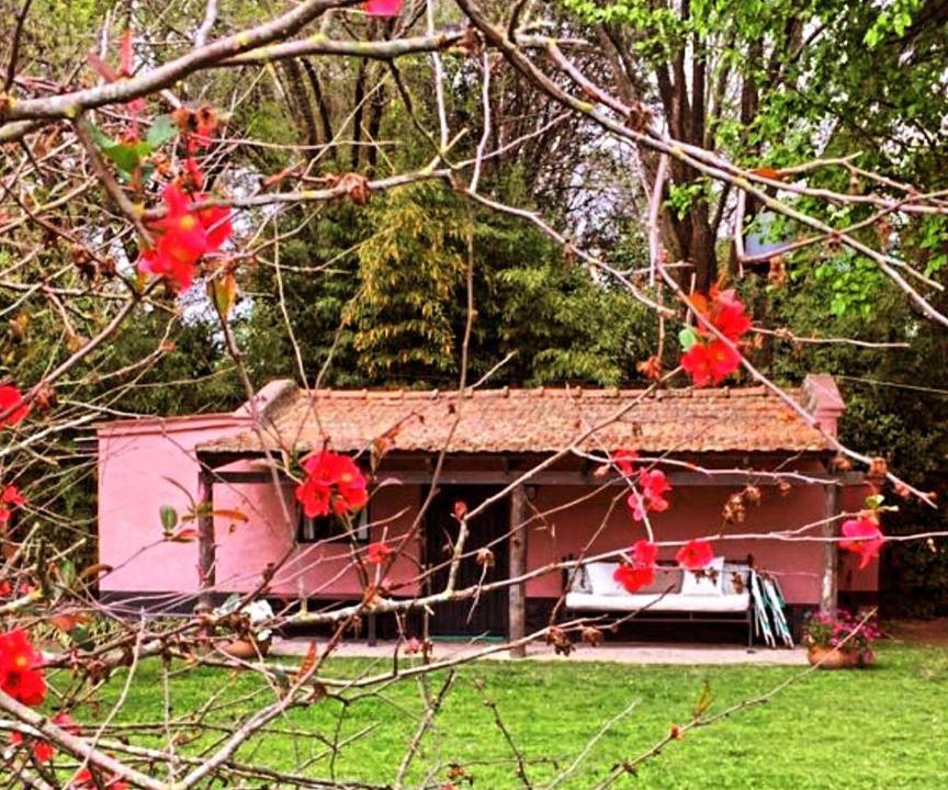 Photo of Others in San Antonio de Areco