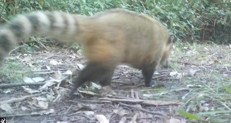 Photo of Others in Pantano Grande