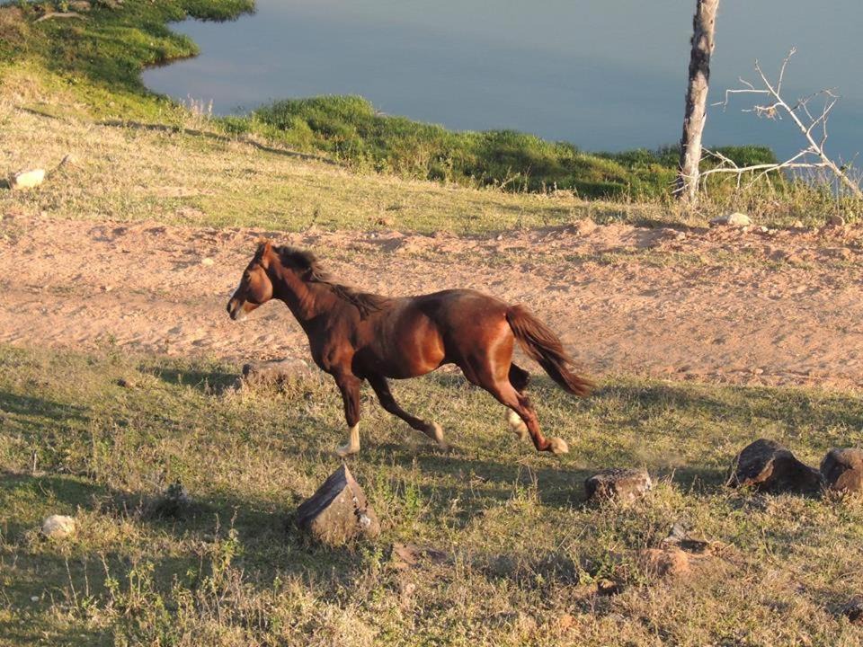 Photo of Others in Sao Jose do Rio Pardo