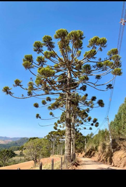 Photo of Others in Camanducaia
