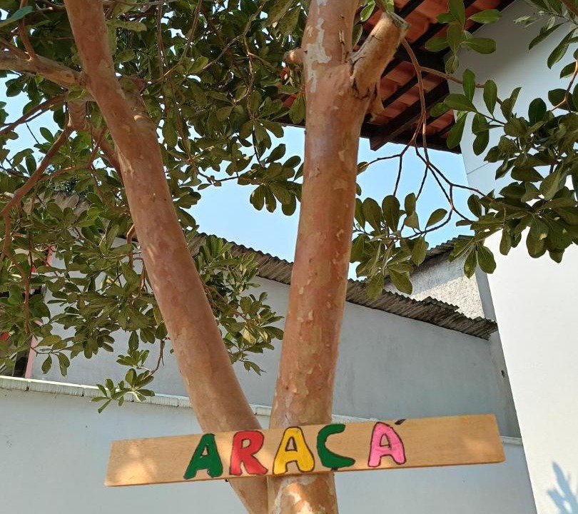 Photo of Others in Gravata