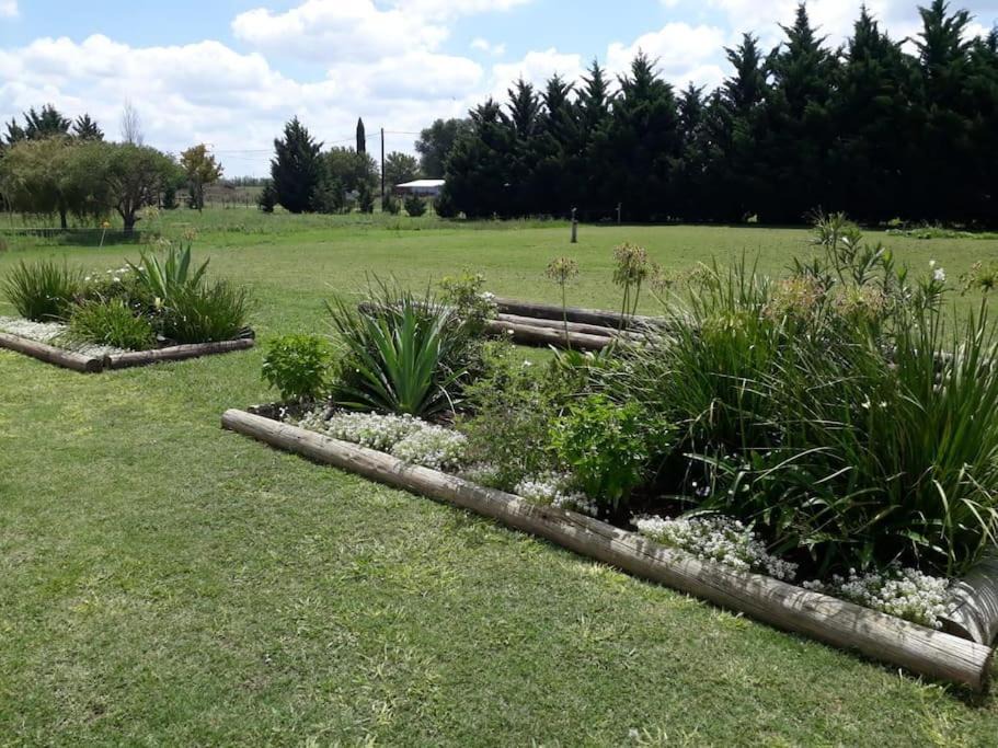 Photo of Others in Pergamino